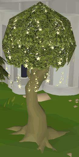 magic trees osrs